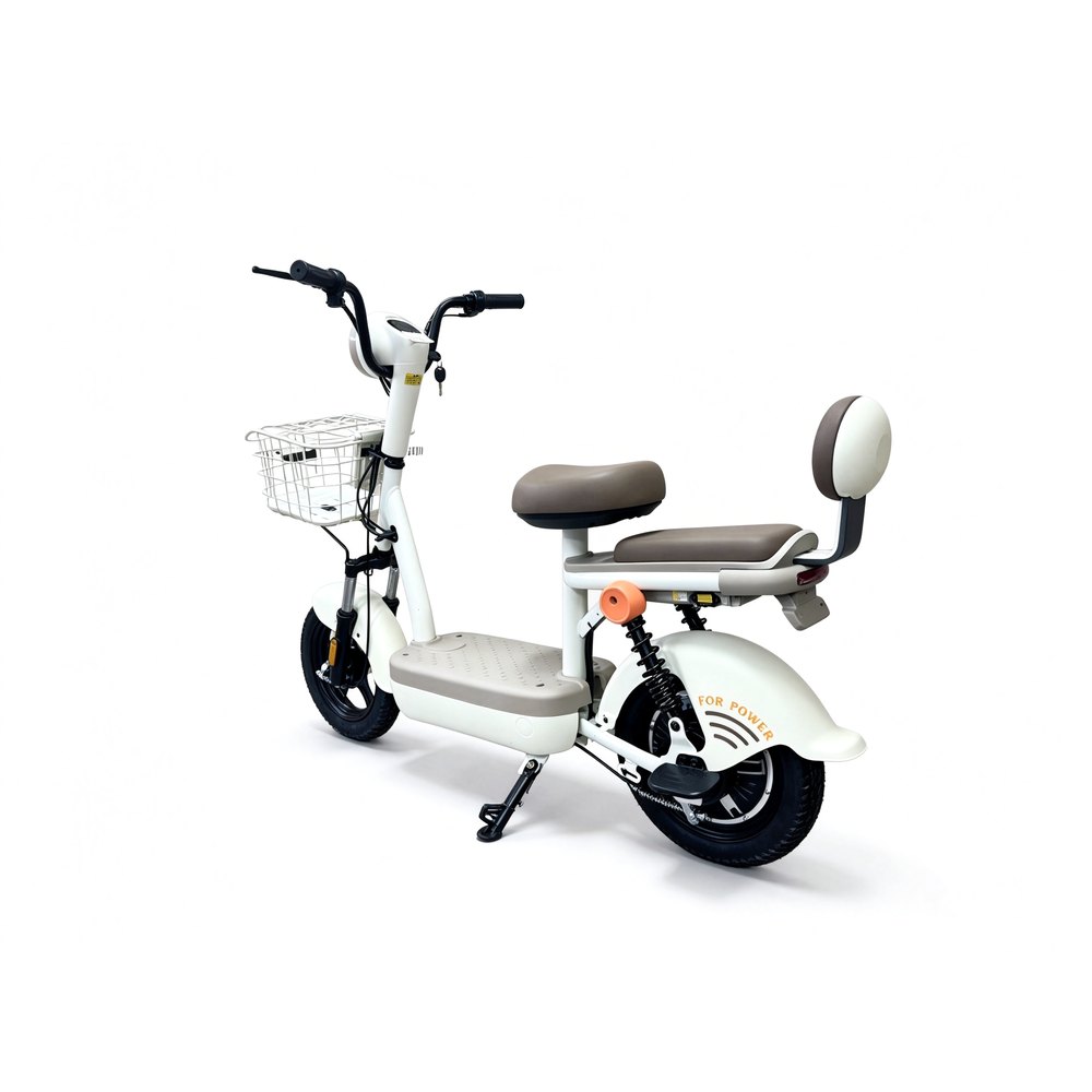 E-BYRD Metaverse entry-level electric scooter 450W 48V20Ah