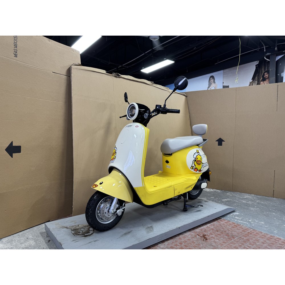 E-BYRD Mini Q compact electric scooter 800W 48V24Ah