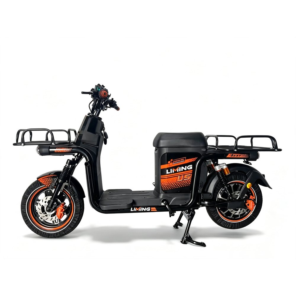 E-BYRD Rainbow electric bike 1000W 60V30Ah cargo utility