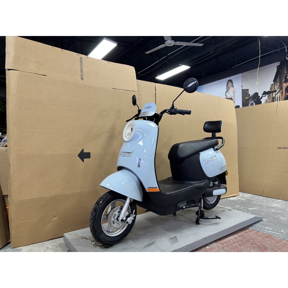 E-BYRD Turtle retro electric scooter 800W 60V20Ah